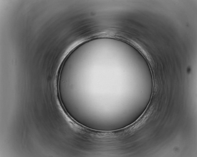 X0000099421434200805090740