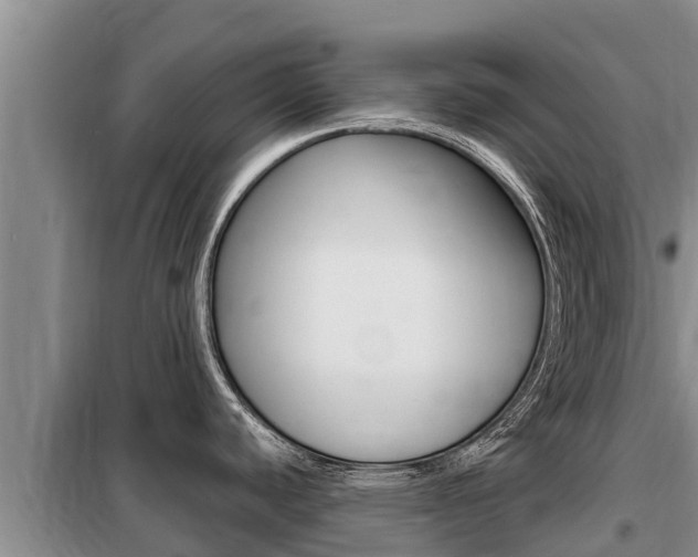 X0000099421440200805090740