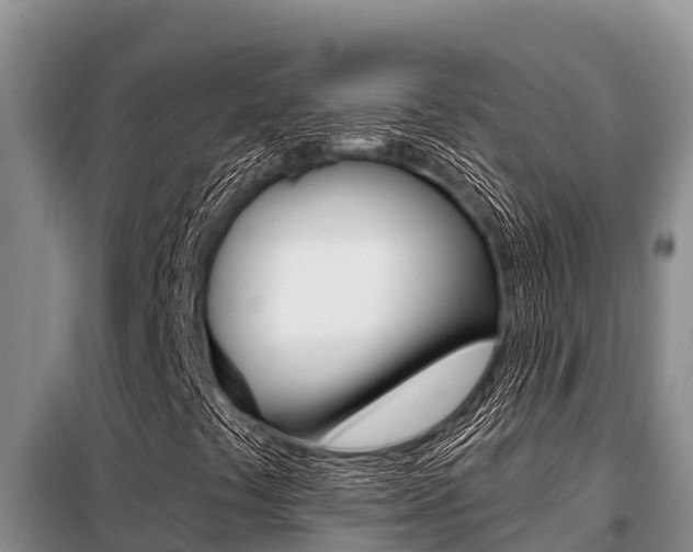 X0000099421441200805090740