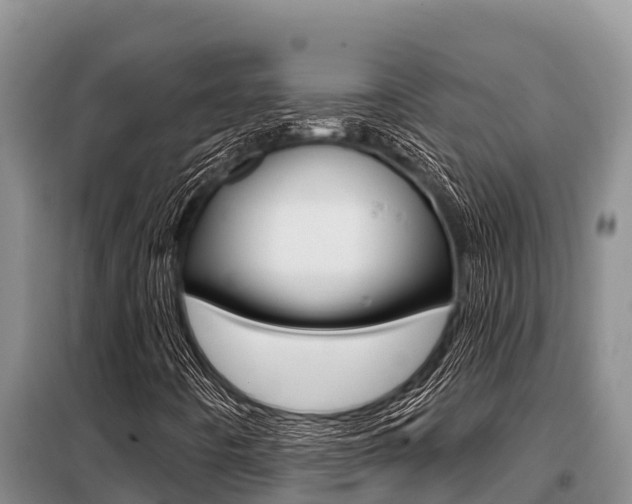 X0000099421442200805090740