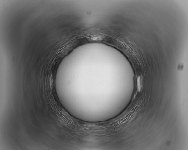 X0000099421443200805090740