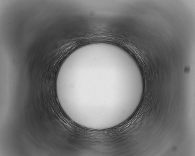 X0000099421444200805090740