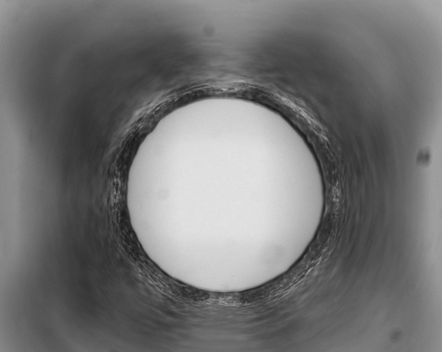 X0000099421447200805090740