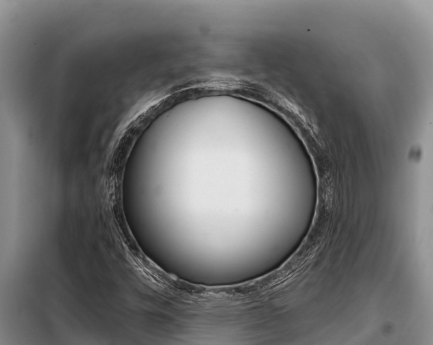 X0000099421448200805090739