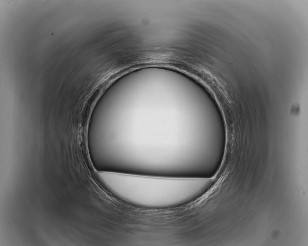 X0000099421449200805090739