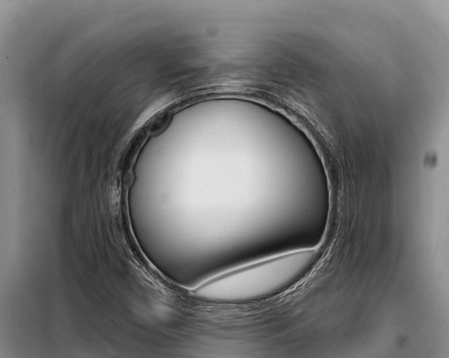 X0000099421450200805090739