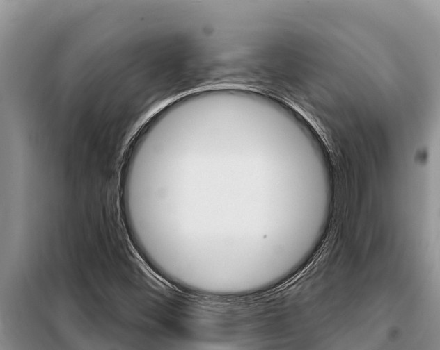 X0000099421452200805090739