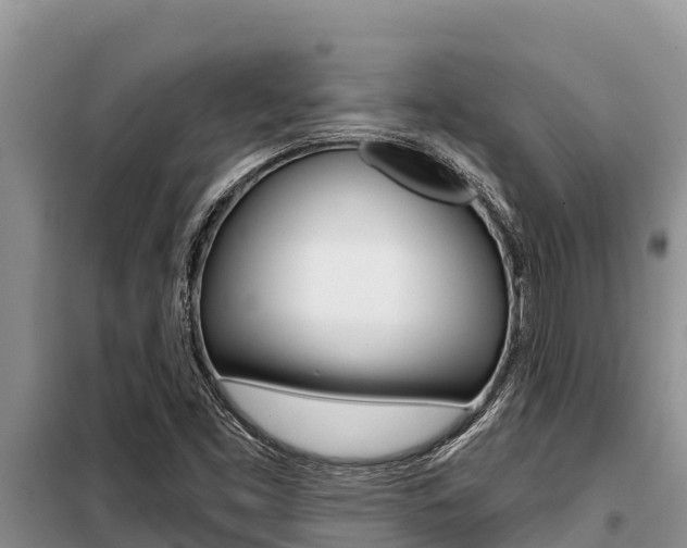 X0000099421453200805090739