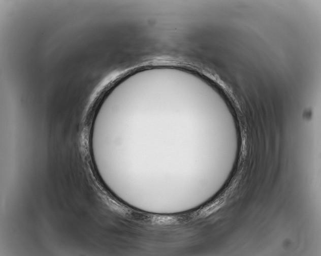 X0000099421454200805090739