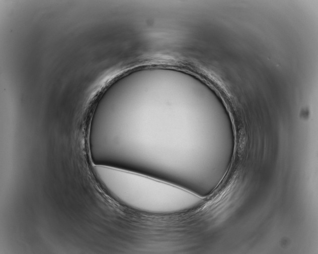 X0000099421455200805090739