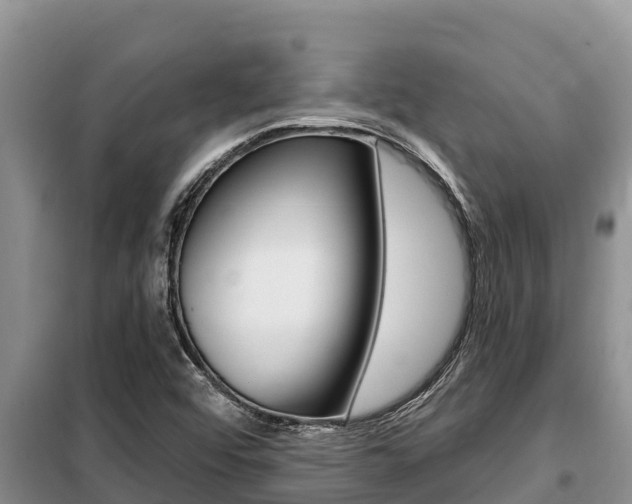 X0000099421456200805090739