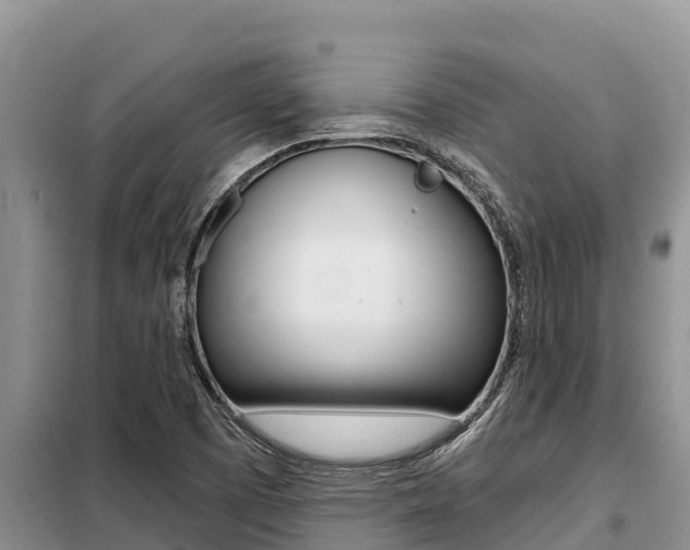 X0000099421457200805090739