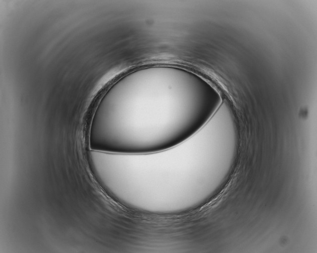 X0000099421458200805090739