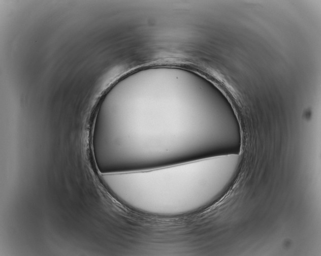 X0000099421459200805090739