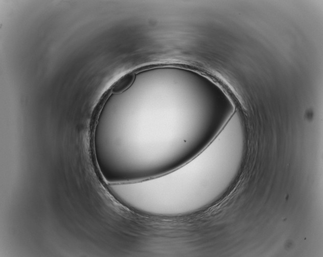 X0000099421460200805090739