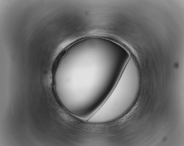 X0000099421461200805090739