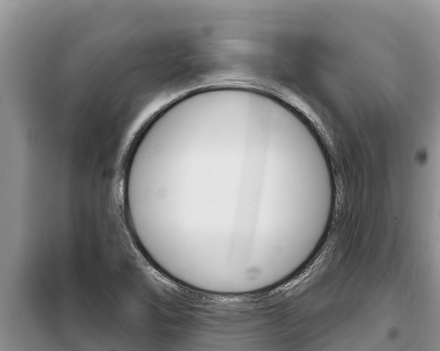 X0000099421462200805090739