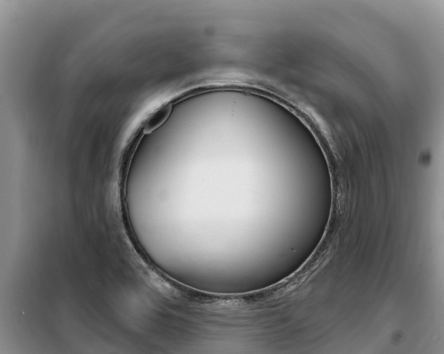 X0000099421464200805090739