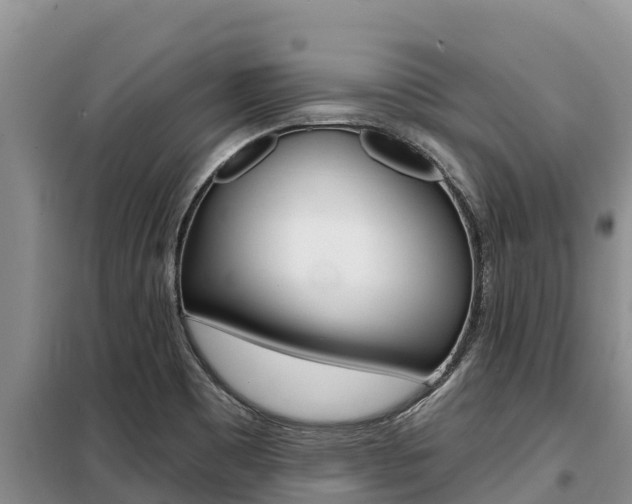 X0000099421465200805090739