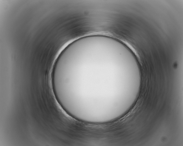 X0000099421468200805090739