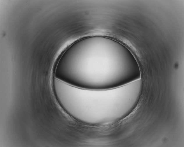 X0000099421469200805090739