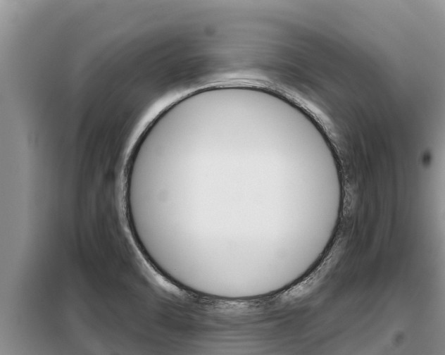 X0000099421470200805090739