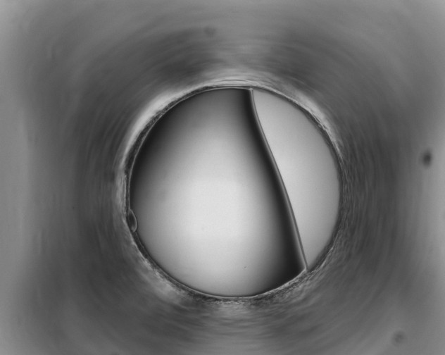X0000099421472200805090739