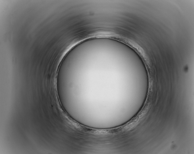 X0000099421473200805090739