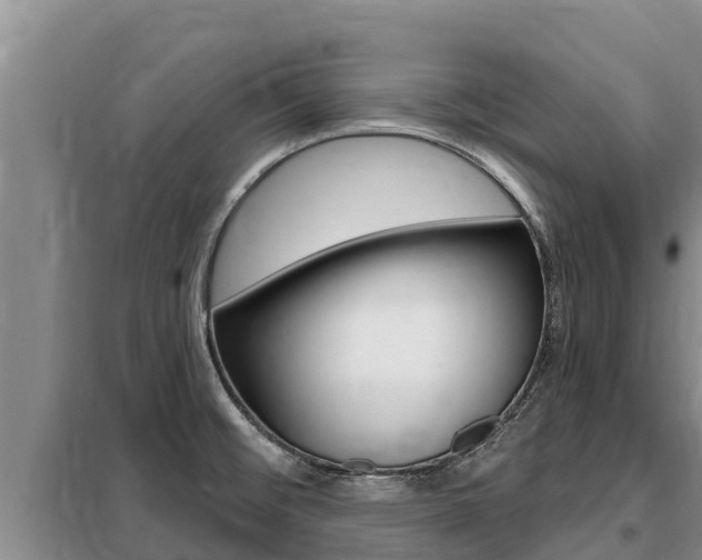 X0000099421476200805090739