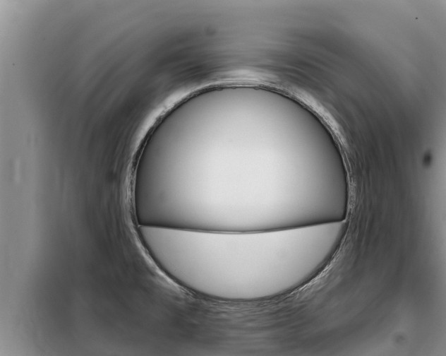 X0000099421477200805090739