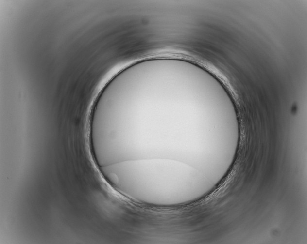 X0000099421478200805090739