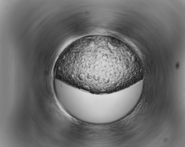 X0000099421479200805090739