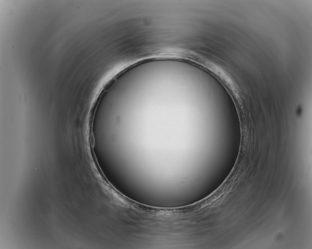 X0000099421480200805090739