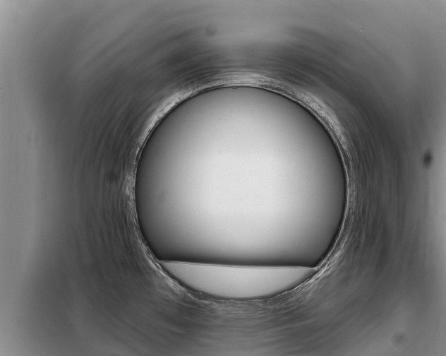 X0000099421481200805090739