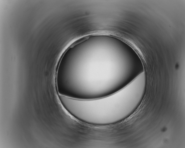 X0000099421484200805090739