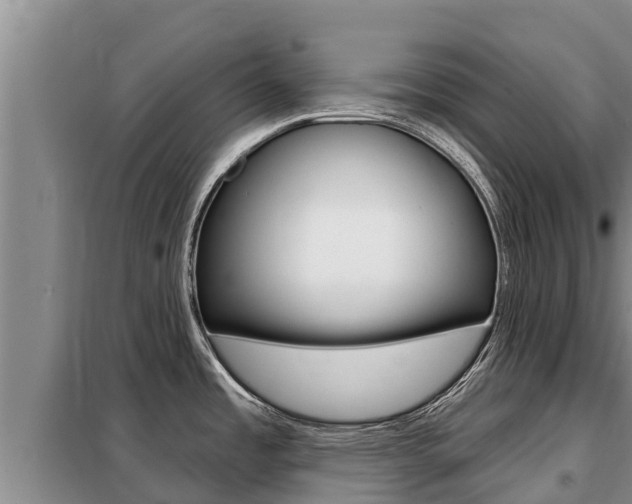 X0000099421485200805090739