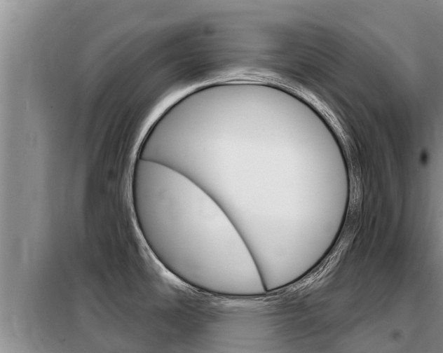 X0000099421486200805090739