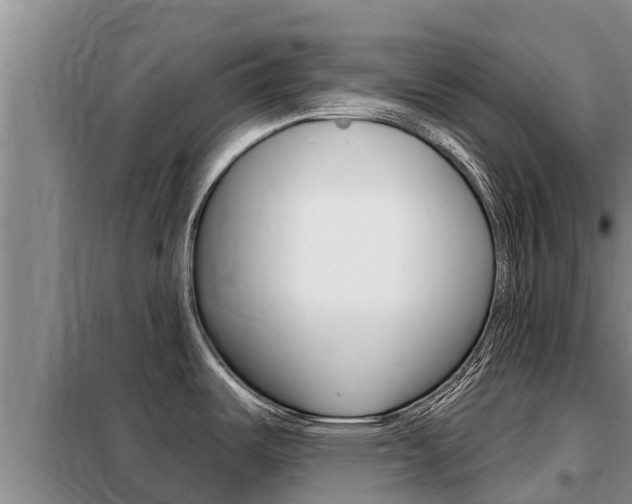 X0000099421487200805090739