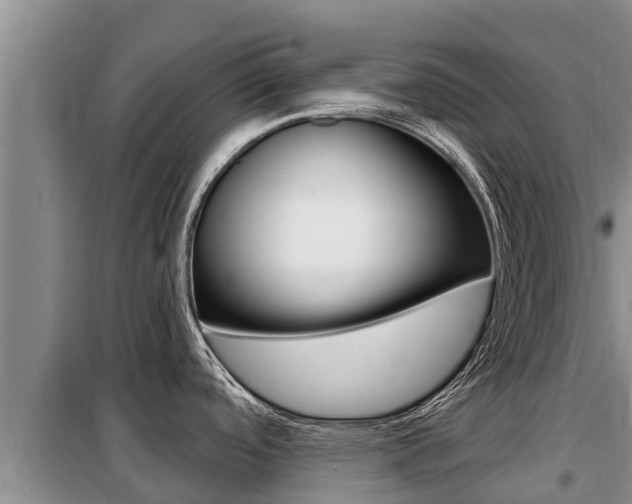 X0000099421488200805090739