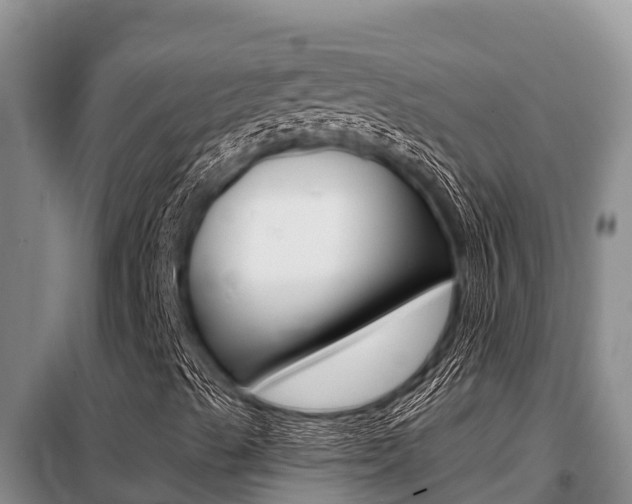 X0000099421489200805090738