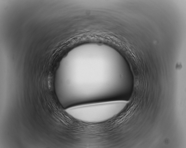 X0000099421490200805090738