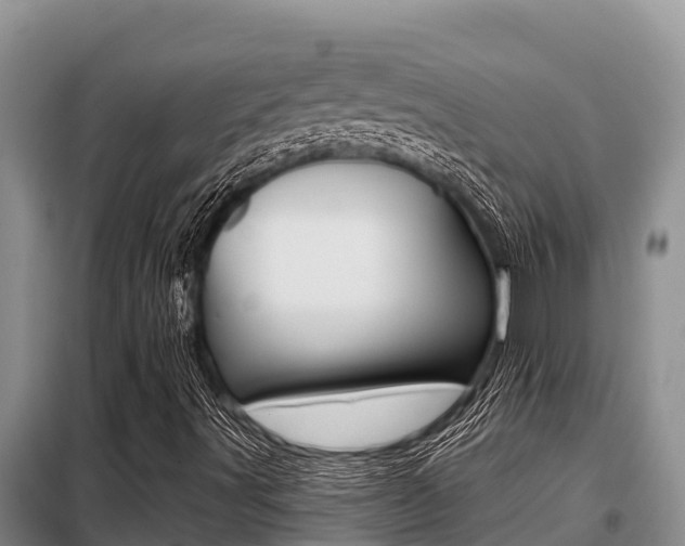 X0000099421491200805090738