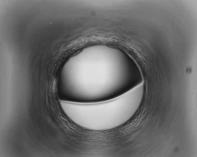 X0000099421492200805090738