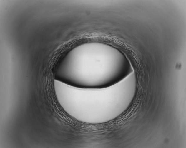 X0000099421493200805090738