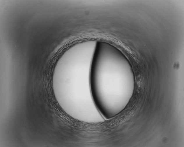 X0000099421495200805090738