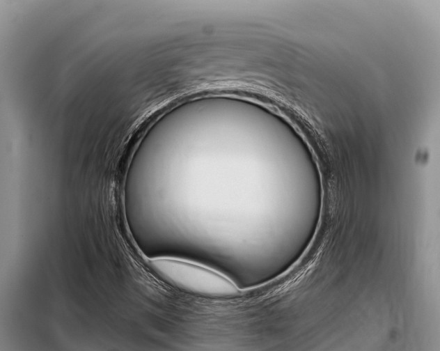 X0000099421497200805090738