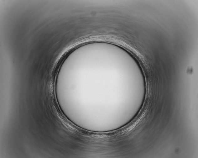 X0000099421498200805090738