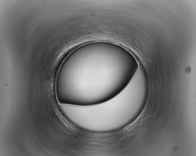 X0000099421499200805090738