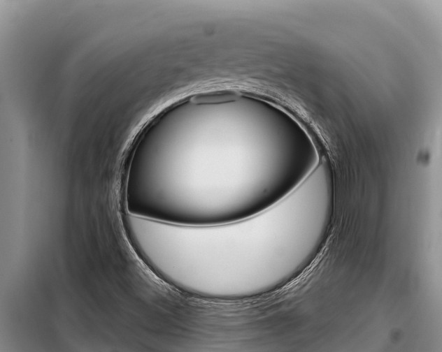 X0000099421500200805090738