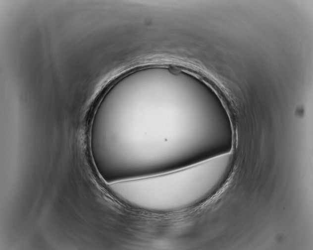 X0000099421501200805090738